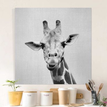 Tableau sur toile - Giraffe Gundel Black And White - Carré 1:1