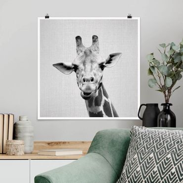 Poster reproduction - Giraffe Gundel Black And White