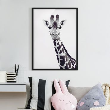 Framed poster - Giraffe Portrait In Black And White