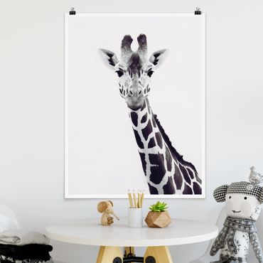 Poster - Giraffe Portrait In Black And White