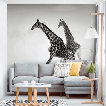 Papier peint - Giraffe Hunt