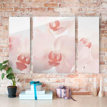 Tableau en verre 3 parties - Bright Orchid Flower Wallpaper - Svelte Orchids