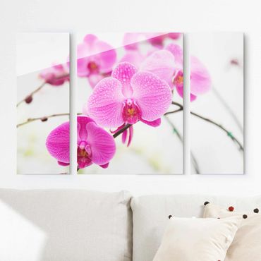 Tableau en verre 3 parties - Close-Up Orchid