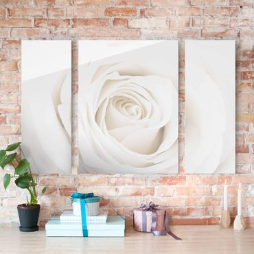 Tableau en verre 3 parties - Pretty White Rose