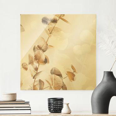 Tableau en verre - Golden Eucalyptus With White I - Carré
