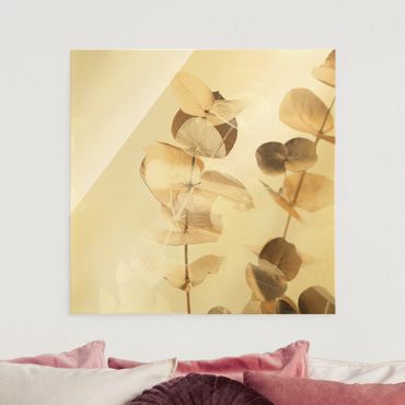 Tableau en verre - Golden Eucalyptus With White II - Carré