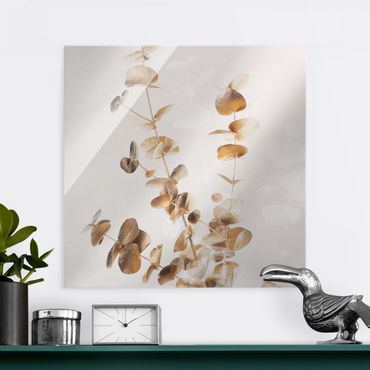 Tableau en verre - Golden Eucalyptus With White - Carré