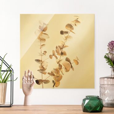 Tableau en verre - Golden Eucalyptus - Carré