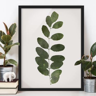 Framed poster - Graphical Plant World - Dark Green