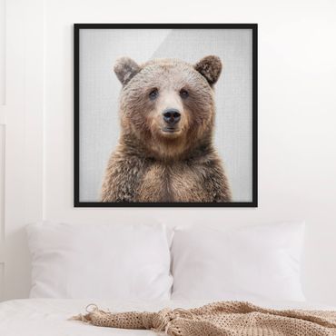 Poster encadré - Grizzly Bear Gustel