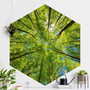 Papier peint panoramique hexagonal autocollant - Green Treetops In The Sky