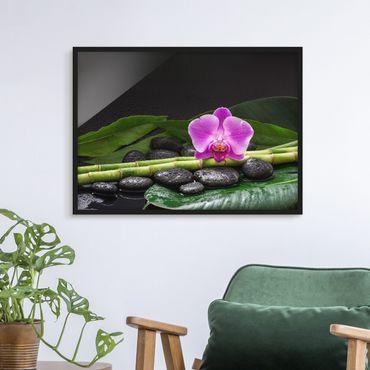 Poster encadré - Green bamboo With Orchid Flower