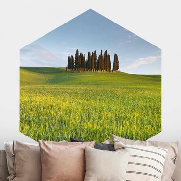 Papier peint hexagonal autocollant avec dessins - Green Field In Tuscany