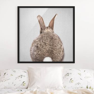 Poster encadré - Hare From Behind