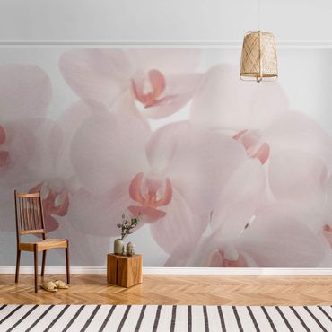 Metallic wallpaper - Bright Orchid Flower Wallpaper - Svelte Orchids