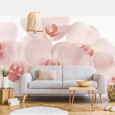 Papier peint - Bright Orchid Flower Wallpaper - Svelte Orchids
