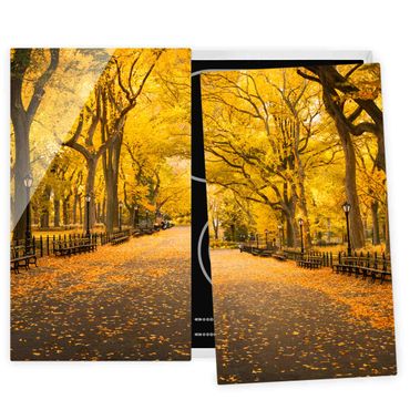 Cache plaques de cuisson - Autumn In Central Park