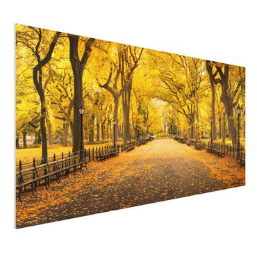 Impression sur forex - Autumn In Central Park - Format paysage 2:1