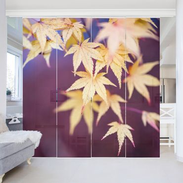 Set de panneaux coulissants - Autumn Maple Tree - Panneau