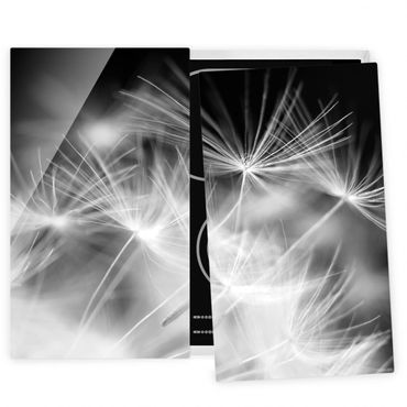 Cache plaques de cuisson en verre - Moving Dandelions Close Up On Black Background