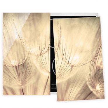 Cache plaques de cuisson en verre - Dandelions Close-Up In Cozy Sepia Tones