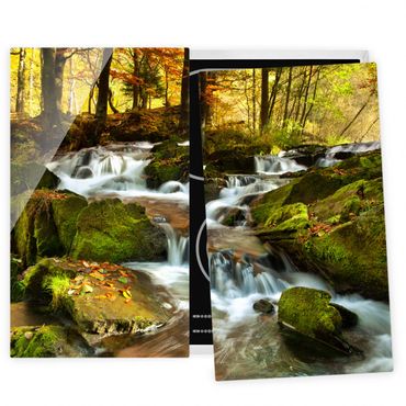 Cache plaques de cuisson en verre - Waterfall Autumnal Forest