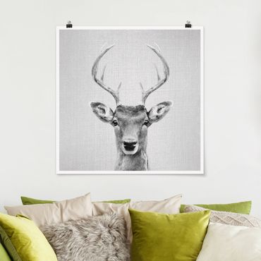 Poster reproduction - Deer Heinrich Black And White