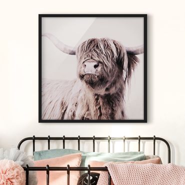 Framed poster - Highland Cattle Frida In Beige
