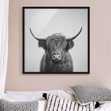 Poster encadré - Highland Cow Harry Black And White