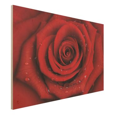 Tableau en bois - Red Rose With Water Drops