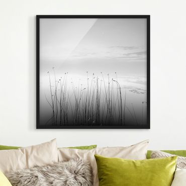 Framed poster - Idyllic Lakeside In Black And White