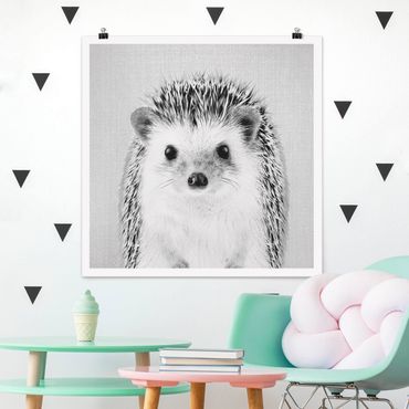 Poster reproduction - Hedgehog Ingolf Black And White