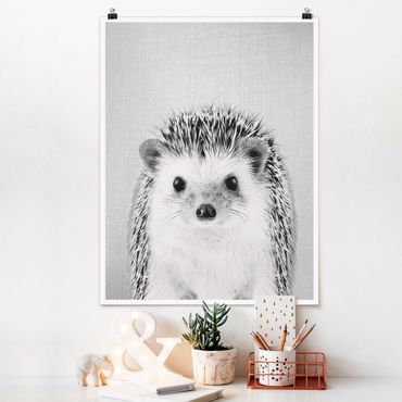 Poster reproduction - Hedgehog Ingolf Black And White