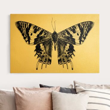 Impression sur toile - Illustration Flying Madagascan Butterfly - Format paysage 3x2