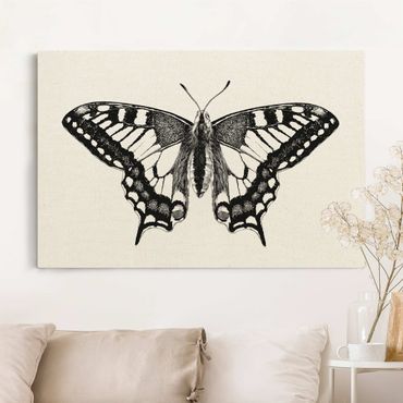 Tableau sur toile naturel - Illustration Flying Dovetail Black - Format paysage 3:2