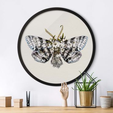 Tableau rond encadré - Illustration Floral Moth
