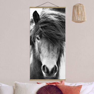 Tableau en tissu avec porte-affiche - Icelandic Horse In Black And White - Format portrait 1:2