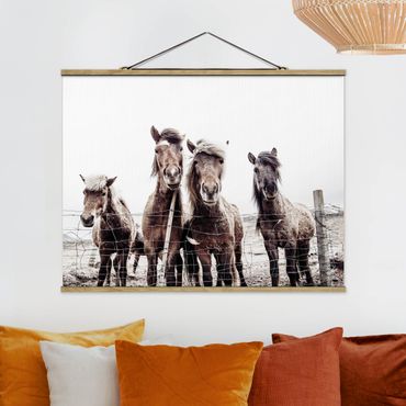 Tableau en tissu avec porte-affiche - Icelandic Horse   - Format paysage 4:3