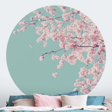 Papier peint rond autocollant - Japanese Cherry Blossoms