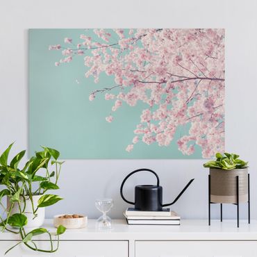 Tableau sur toile - Japanese Cherry Blossoms