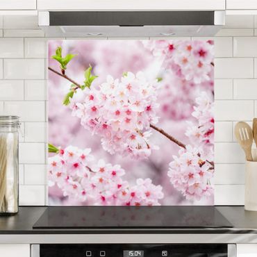 Fonds de hotte - Japanese Cherry Blossoms - Carré 1:1
