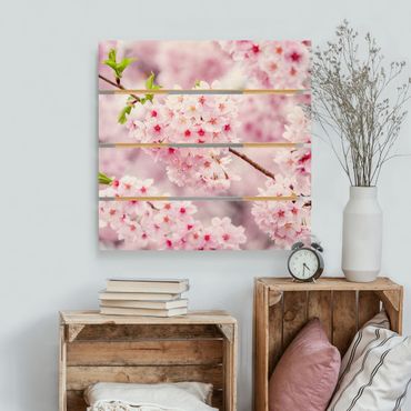 Impression sur bois - Japanese Cherry Blossoms