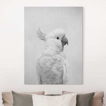 Tableau sur toile - Cockatoo Kiki Black And White - Format portrait 3:4