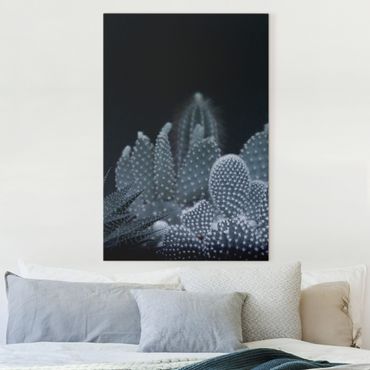 Tableau sur toile - Familiy Of Cacti At Night