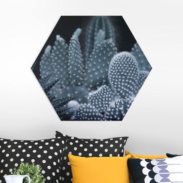 Hexagone en forex - Familiy Of Cacti At Night