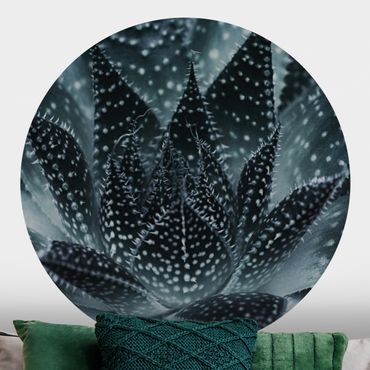 Papier peint rond autocollant - Cactus Drizzled With Starlight At Night