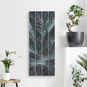 Porte-manteau en bois - Cactus Drizzled With Starlight At Night