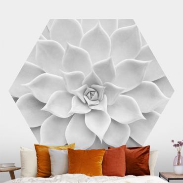 Papier peint hexagonal autocollant avec dessins - Cactus Succulent