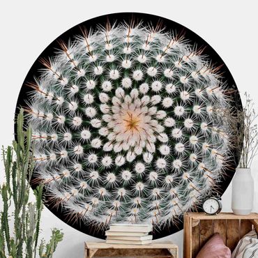 Papier peint rond autocollant - Cactus Flower