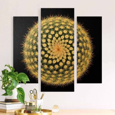 Impression sur toile - Cactus Flower